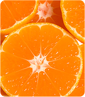Mandarin Orange slices